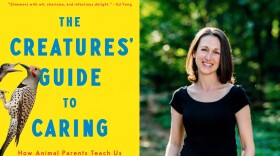 photo of writer Elizabeth Preston and cover of her book "The Creatures' Guide to Caring"