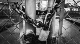 Advocates of the center say it could keep mentally ill patients out of jail and in treatment centers. Photo: Pixbay.