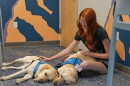 A dog sits on the floor with a student.