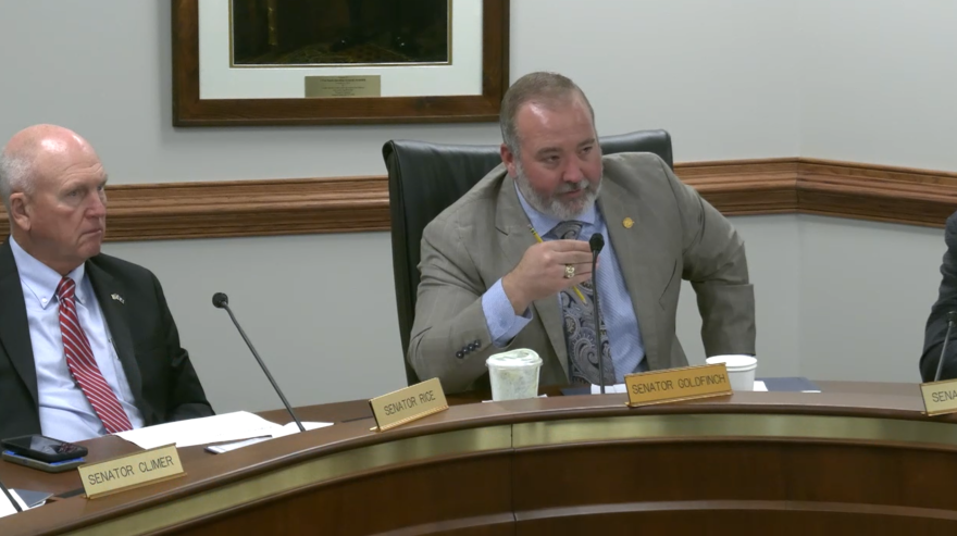 Sen. Stephen Goldfinch, R-Georgetown, speaks during a Senate Finance subcommittee meeting about his DOGE bill on Feb. 13, 2025.