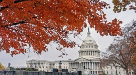 Autumn leaves frame the Capitol as Congress departs for the Thanksgiving recess, in Washington on Nov. 21, 2025.