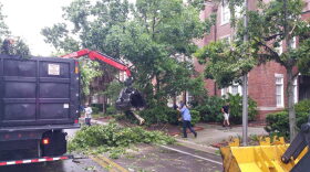 A cleanup crew clears the road Friday after a storm near Sisler Hall at the University of Florida (Photos courtesy of UF Department of Emergency Management).