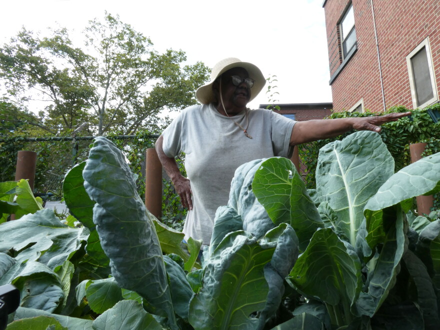 For Wilson, gardening has been part of her life since she was a child. These days, she tends to a local community garden at the Pioneer Homes public housing complex.