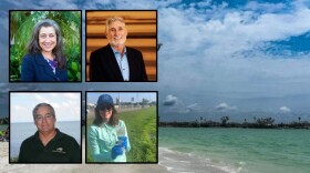 A free event — dubbed “Beneath the Surface: The Environmental Stories Shaping our Community” — starts at 3 p.m. April 15 inside the Bayfront Community Center in Sarasota behind the Municipal Auditorium. Panelists for the environmental discussion include, clockwise, Jennifer Shafer, co-executive director Science and Environmental Council; Jon Thaxton, director of policy and advocacy at the Gulf Coast Community Foundation; Randy Wells, director of the Dolphin Research Program; and Abbey Tryna, executive director of Suncoast Waterkeeper.