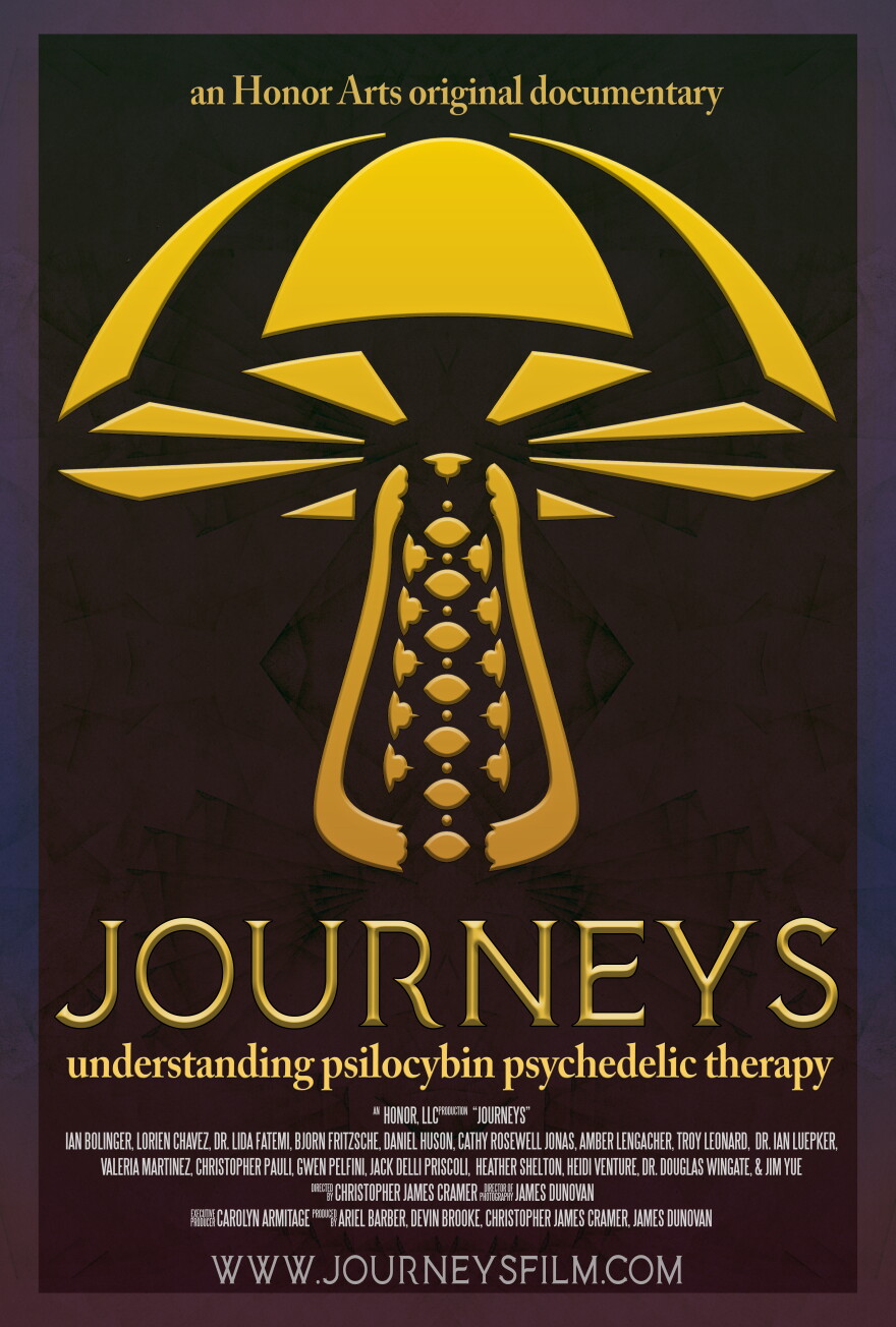 Poster for the documentary 'Journeys'