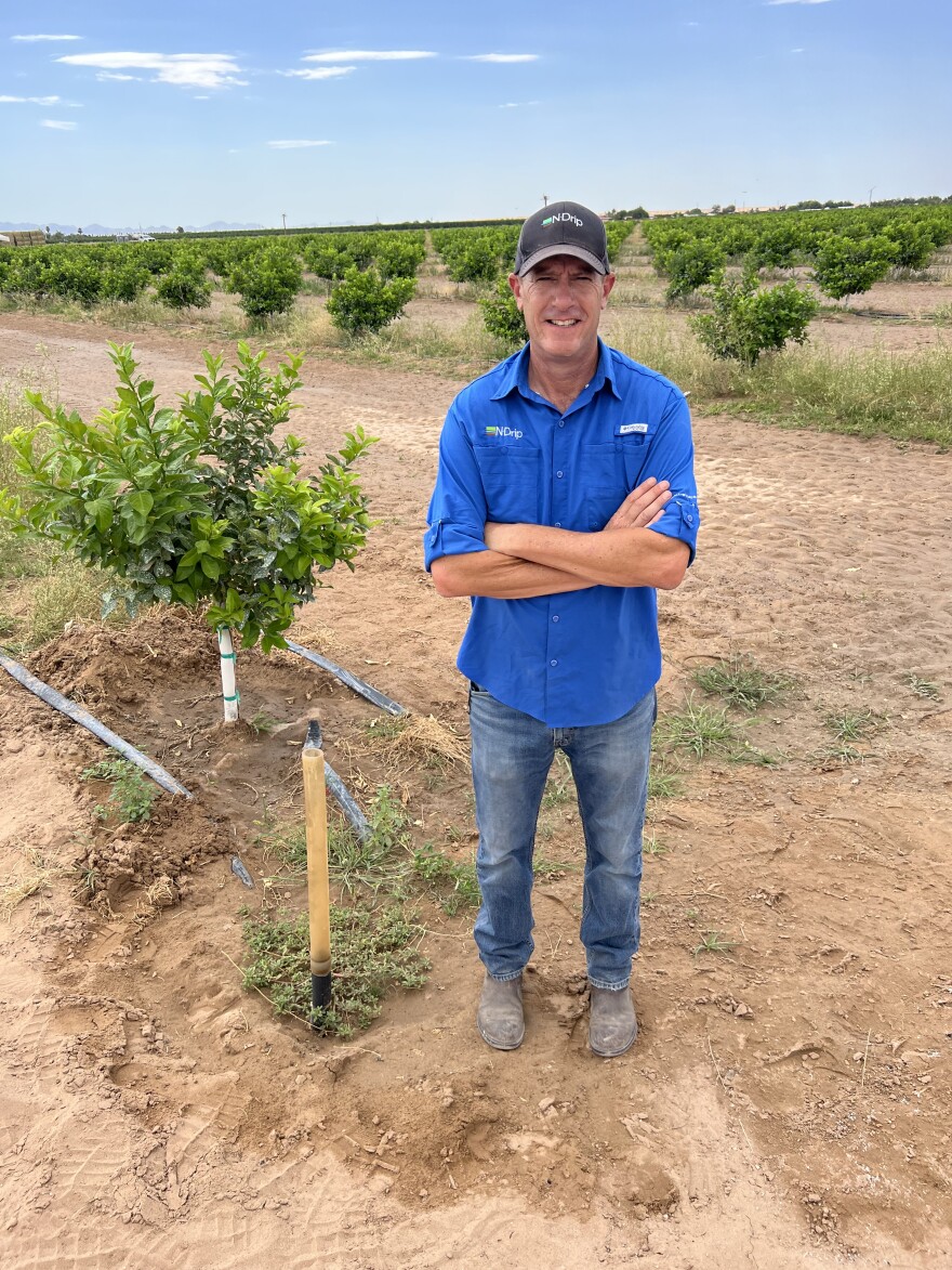 Uri Segev, vice president of business development for N-Drip USA, stands in a citrus field at Woodman Citrus Farm in Yuma. N-Drip installed a gravity-powered micro irrigation system there.