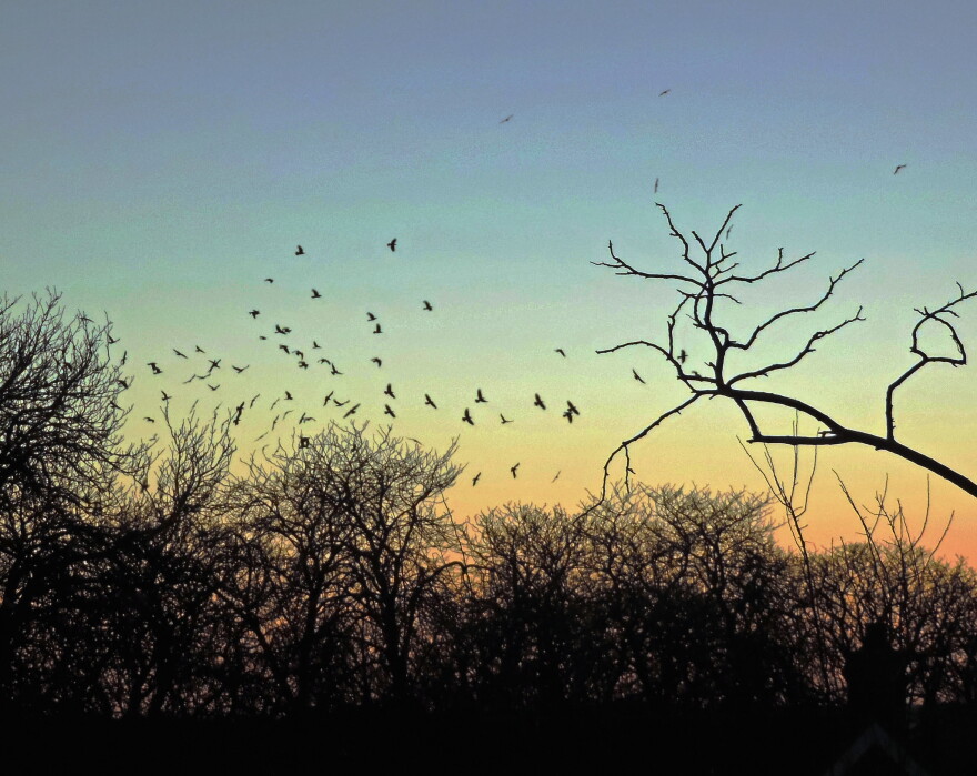 winter solstice sunrise