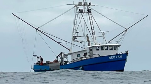 Capt. Hank Slavens was out to sea for three days aboard the Nedian fishing for salmon. He says he spent $1,500 on fuel and his earnings were slim.