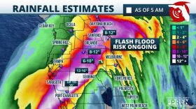 Flooding rains fell across the state of Florida Wednesday into Thursday morning. (Justin Ballard/Florida Public Radio Emergency Network)