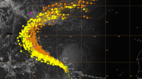 AI model guidance for Tropical Storm Gabrielle in 2025.