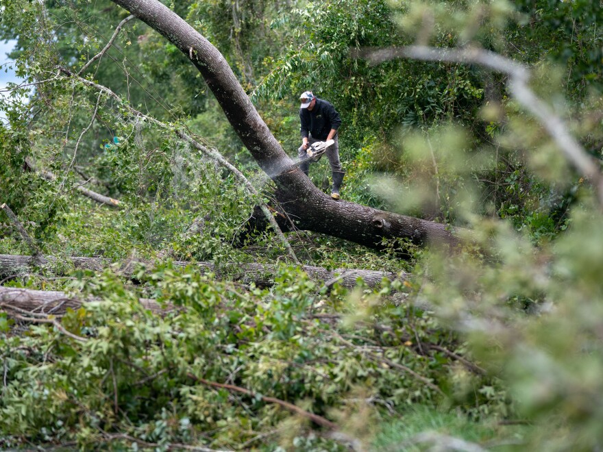 A man uses a chainsaw to clear I-10 of fallen trees on Thursday near Madison, Florida.