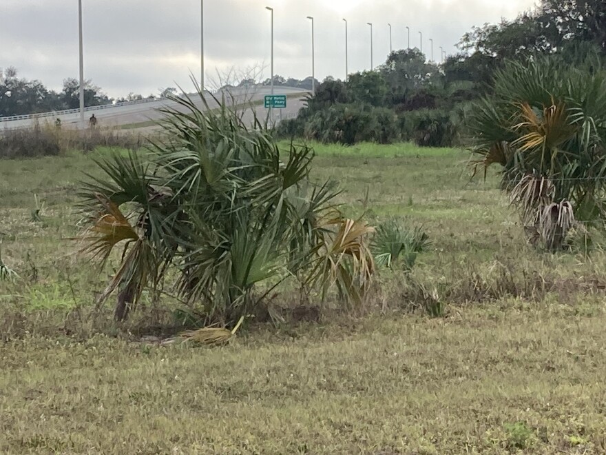 This vacant land along Evans Avenue in Fort Myers is slated to become a low-cost apartment complex. The builder is getting help from Lee County for the project, but the company warns it will take at least 20 months after groundbreaking to build the 144-unit complex.