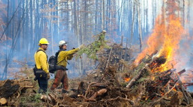 Firefighters burn piles of wood near Tok on Aug. 29.