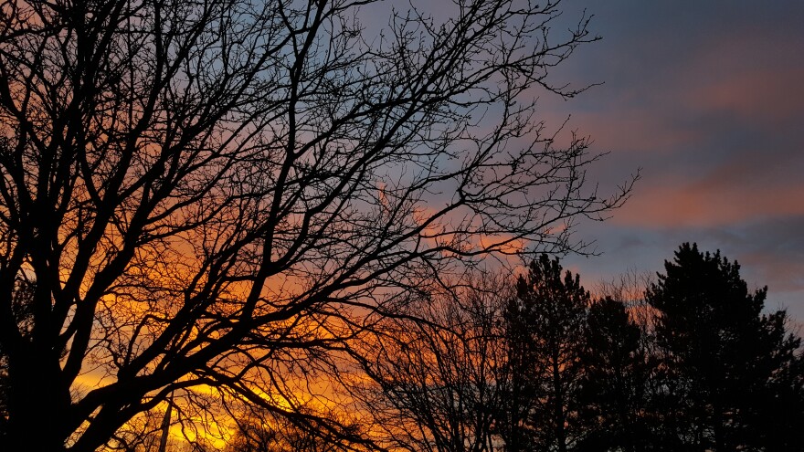 An autumn sunset behind dark tree branches.