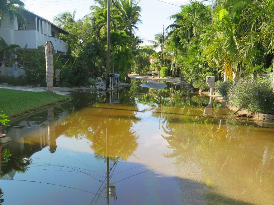 Residents in Key Largo say their streets have been flooded for more than two months from a series of king tides.