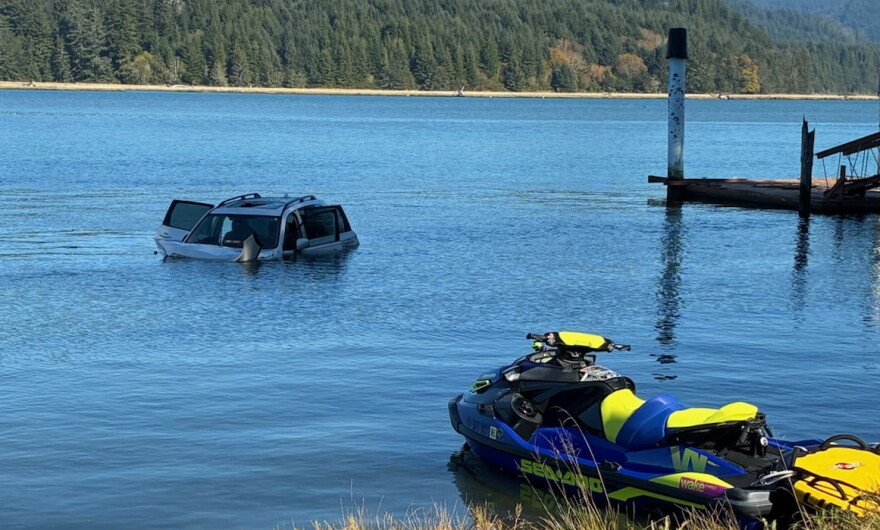 Lincoln County Sheriff's deputies rescued a man who'd become trapped in his vehicle after crashing into Alsea Bay Thursday.