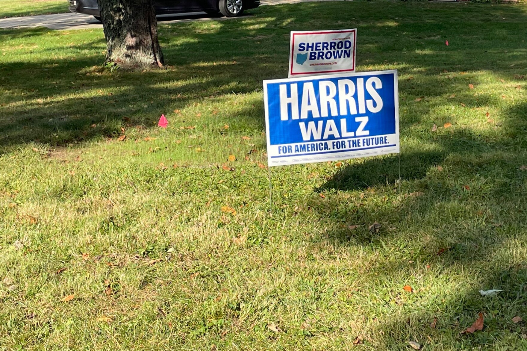 US Department of Justice to monitor voting in Portage County WVXU