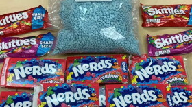 Approx. 15,000 pills seized by the DEA were found in candy containers.