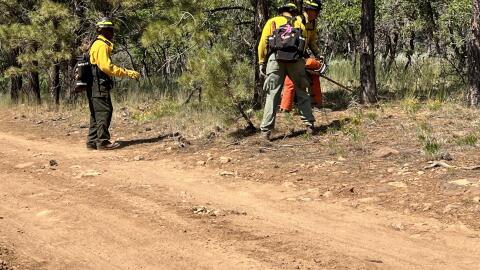 Firefighters clear brush near a defensive line during the Babylon Fire response. Crews have been using hand tools, heavy equipment, roads and dozer lines to strengthen containment features around the fire.