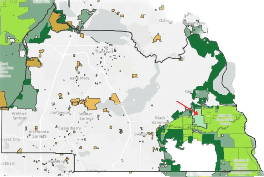 All of the green is land in the Wildlife Corridor. The bright green is land protected through entities such as Florida Forever, while the darker green is not. Seminole County is shown with the black border. For scale, the pale green cutout in the east (indicated with red arrow) is the 1,361 acres of Yarborough Ranch recently acquired by Florida Forever.