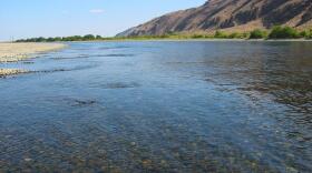 File photo of Hanford Reach/PFLY