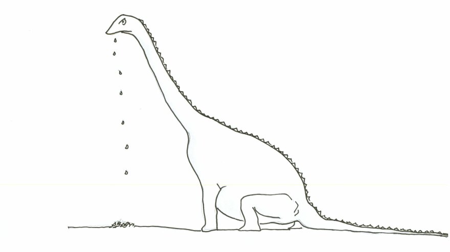 Snail 5