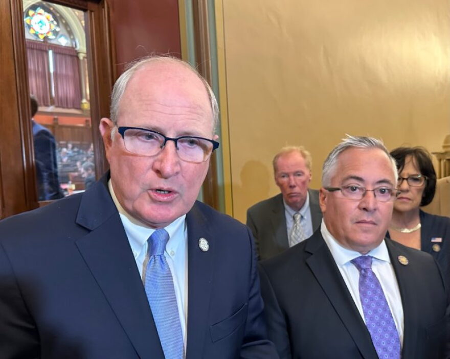 The Republican minority leaders, Sen. Kevin Kelly, left, and Rep. Vincent J. Candelora.