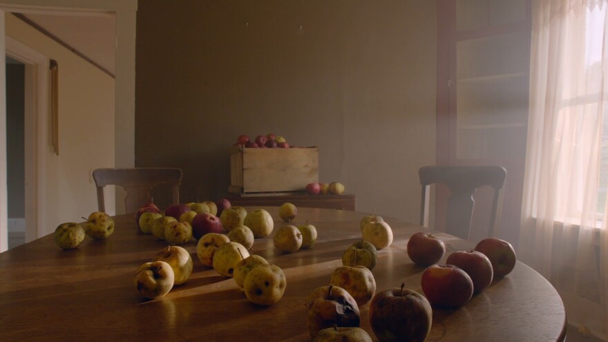 <em>God Knows Where I Am</em> feels at times like a still life painting.