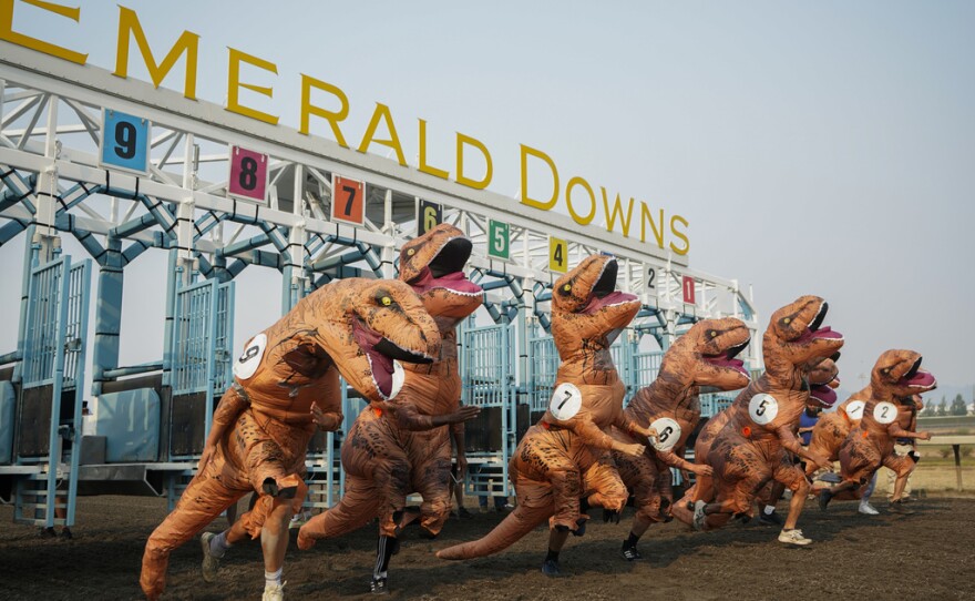 Racers, including eventual winner Ocean Kim (5), leave the gates for the championship race during the "T-Rex World Championship Races" at Emerald Downs, Sunday, Aug. 20, 2023, in Auburn, Wash.