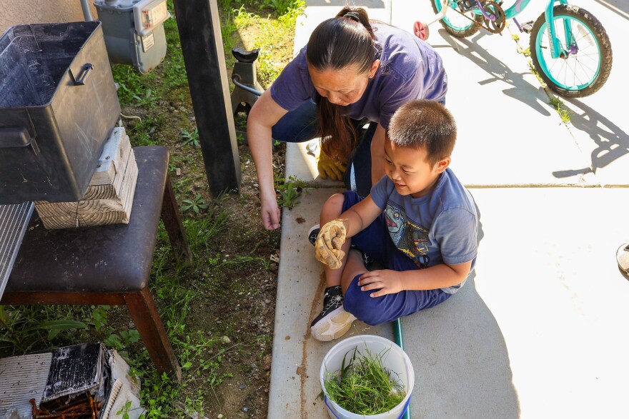 Luke Rou picks out weeds with his mom Paule.