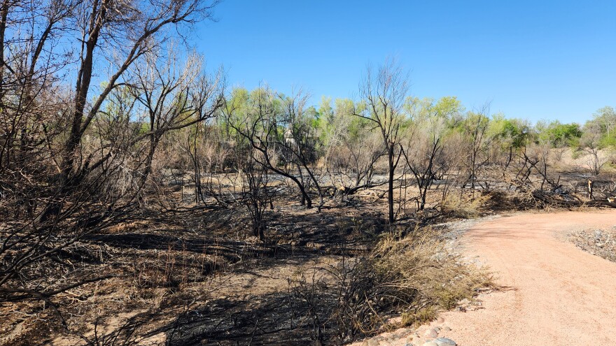 A fire near Delta Surgical building was quickly put out by the Delta Fire Department on Friday, April 25, 2025
