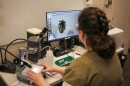 Lab analyst Diana Wendelin identifies a tick for Buckeye Tick Test at Ohio State University's Goss Laboratory on Thursday, May 21, 2026.