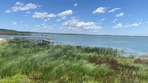 Nine artists participating in the University of Illinois Springfield’s Artist in Residence program at the Therkildsen Field Station at Emiquon will unveil works inspired by the preserve on Aug. 23.