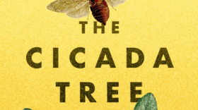 “The Cicada Tree” cover