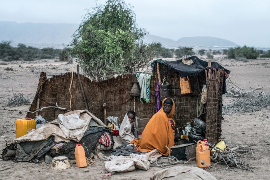 Forced to travel far beyond their traditional nomadic routes because of drought, Muumina Farah and her daughter camp by the side of the road outside the western Somaliland town of Habas.