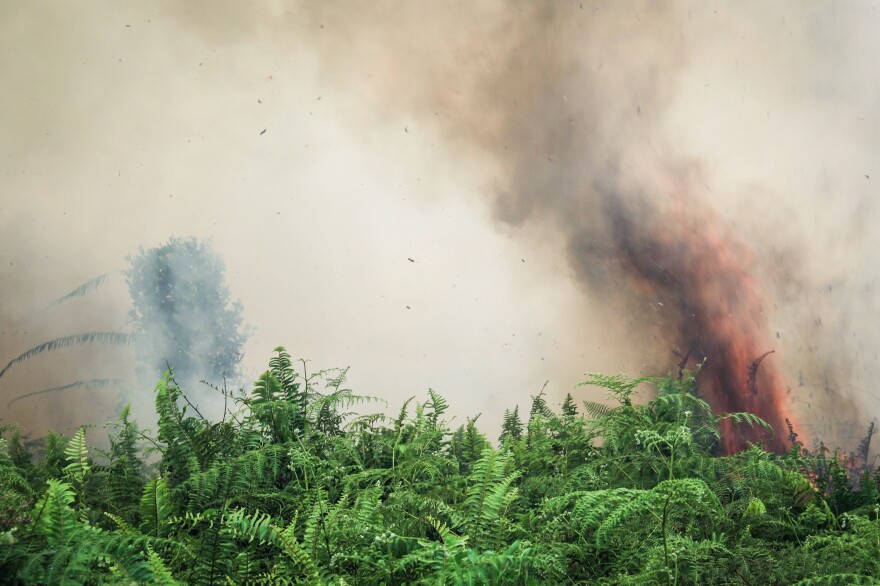 Smoke and flames rise from a peat fire in West Kalimantan Province. Peat fires and deforestation contribute to Indonesia's status as a leading carbon emitter.