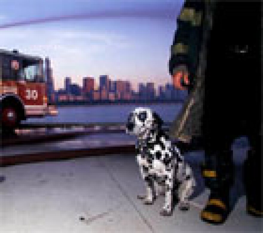 Thirty, from the cover of 'The Firefighter's Best Friend'