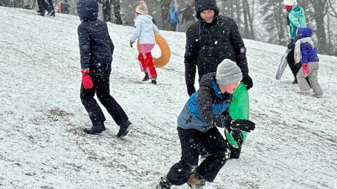 People sledding at Charlotte's Veterans Park on Jan. 31, 2026.