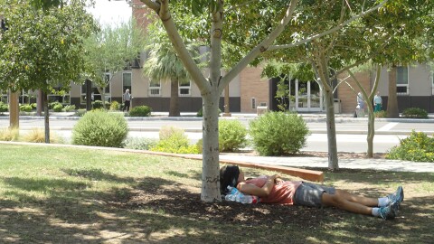 resting in the shade