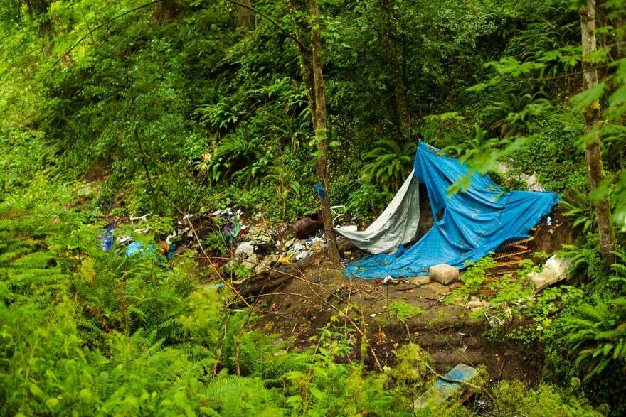 Some trash and debris remain in the parks interior. King county has been cleaning up the land in preperation for construction on the 5-arce park in North Highline.