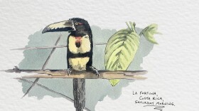 Noah Stryker has a new project called "Letters From Noah."