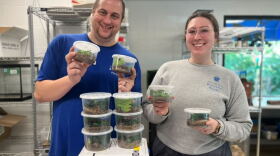 Missouri Botanical Garden Senior Entomologist Tad Yankoski, left, and Invertebrate Collections Assistant Nicole Pruess, right, now care for 98 Antilles pinktoe tarantulas at the Sophia M. Sachs Butterfly House.