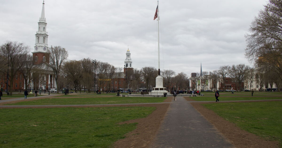 New Haven puts city employee on leave for flagging immigrant marriages