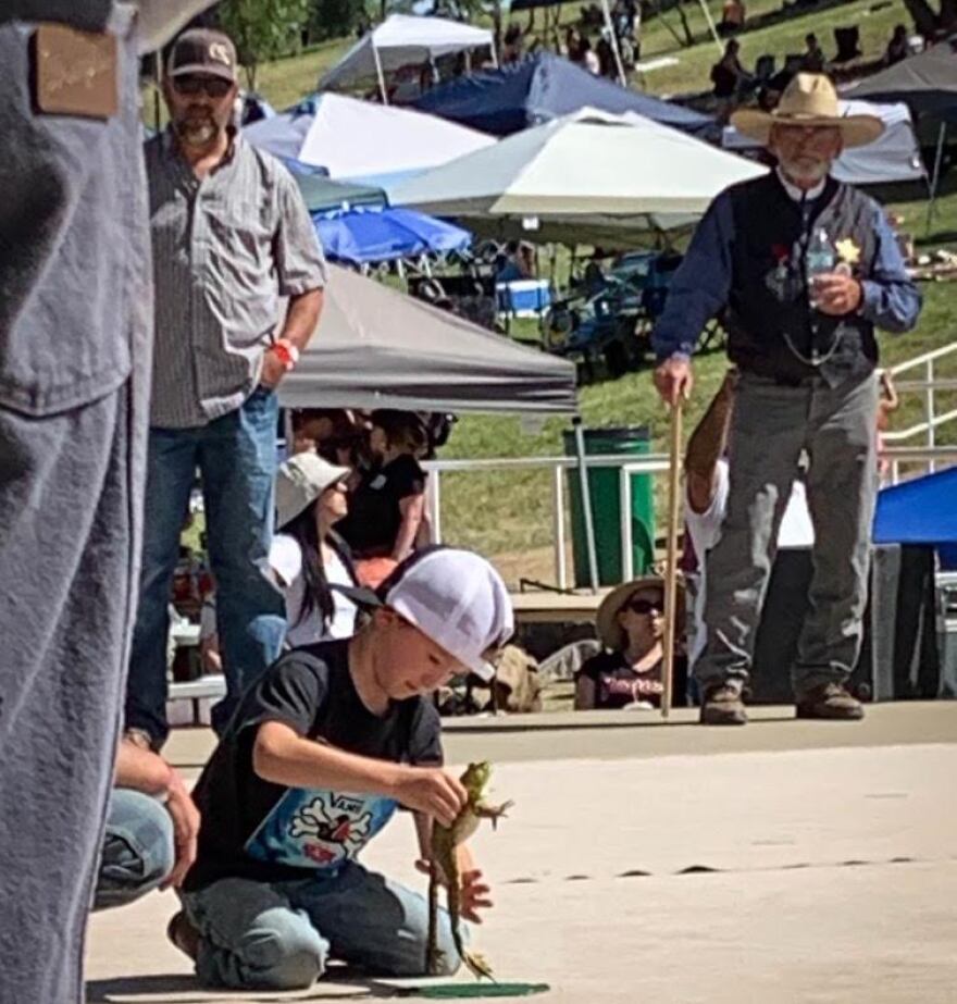 A contestant readies his frog at the Calaveras County Fair & Jumping Frog Jubilee