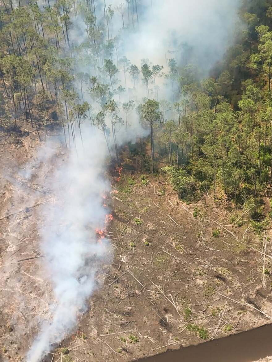The North Carolina Forest Service reports that the Rose Bay Canal Fire has now scorched 455 acres and remains 20% contained. The blaze is burning off U.S. Highway 264, southwest of the state prison.