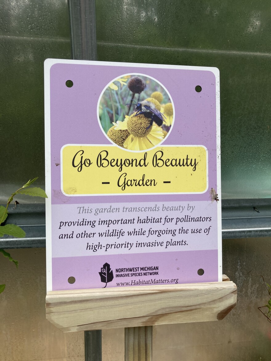 Go Beyond Beauty participants receive recognition online and in their stores or gardens. "Go Beyond Beauty exists to celebrate people making that decision [to not sell certain invasive species], especially business owners who are potentially cutting into their bottom liny by not selling certain plants that are popular," said Shelly Stusick, Go Beyond Beauty specialist for Northwest Michigan Invasive Species Network. The program, which began in northwest Michigan, is now expanding statewide. (Photo: Ellie Katz/IPR News)