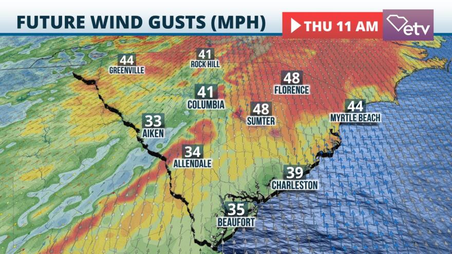 Zeta Wind Forecast