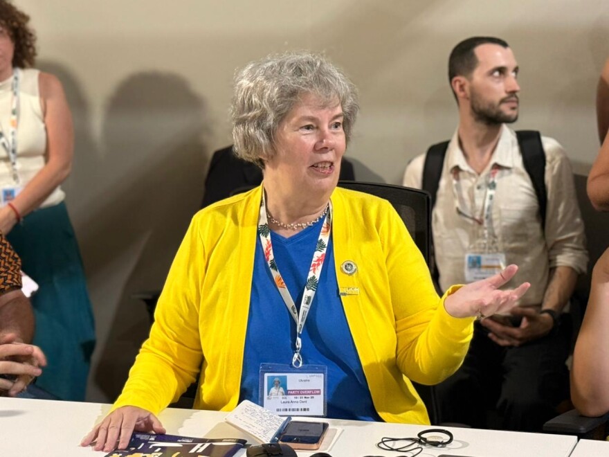 Harrisonburg City Council member Laura Dent speaks with a group during COP30.