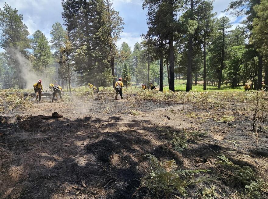 Firefighters mopping up and cold-trailing for hot spots around the Pocket Fire near Sedona on June 25, 2026. Cold-trailing involves feeling burnt ground for hot spots to extinguish.