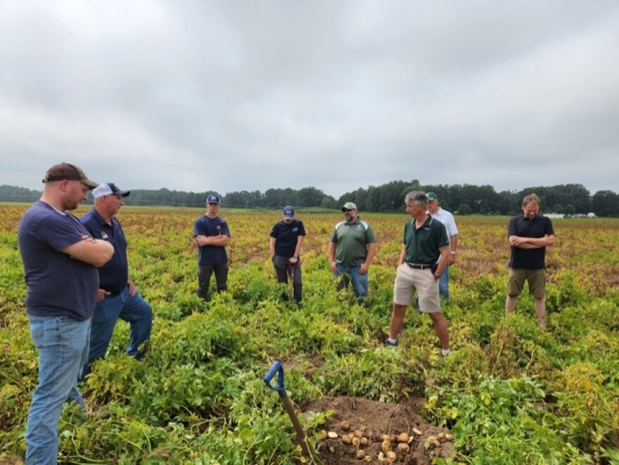 Researchers and other potato industry men stand in a potato field, talking.